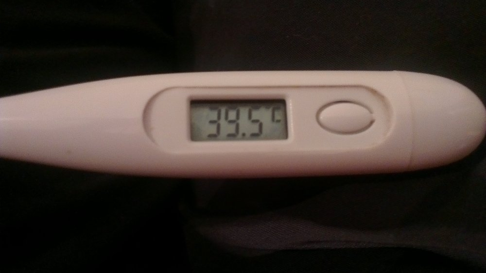 39 и 1 день. Электронный градусник 39.6. Градусник с температурой 39 и 5. Электронный градусник с температурой 38 и 6. Градусник 37.8.