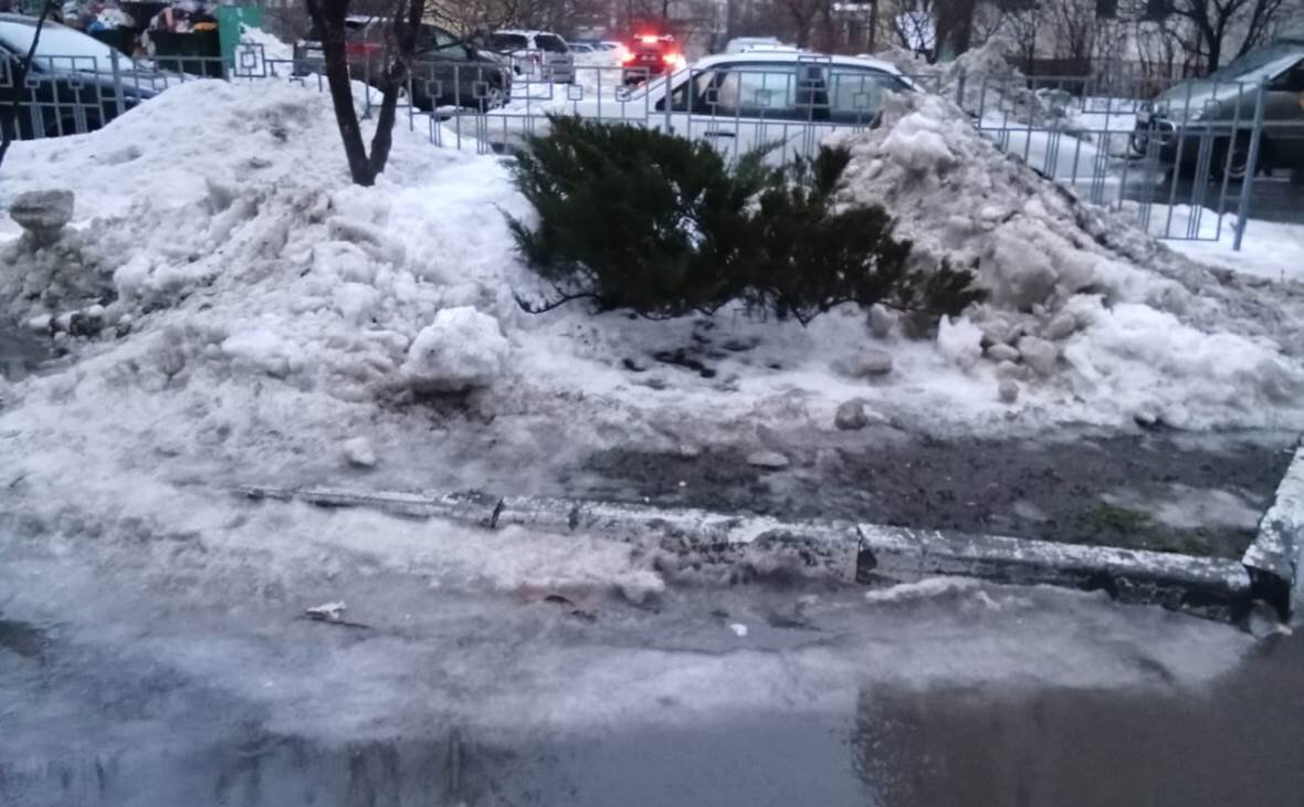 Фото: РБК Черноземье