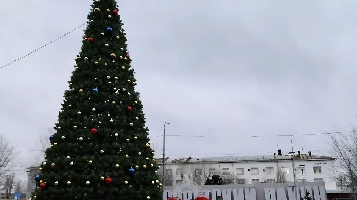     Двенадцатиметровую елку установили в Советском районе Волгограда, сообщает мэрия. Купить ее удалось за счет экономии в ходе госзакупок.
