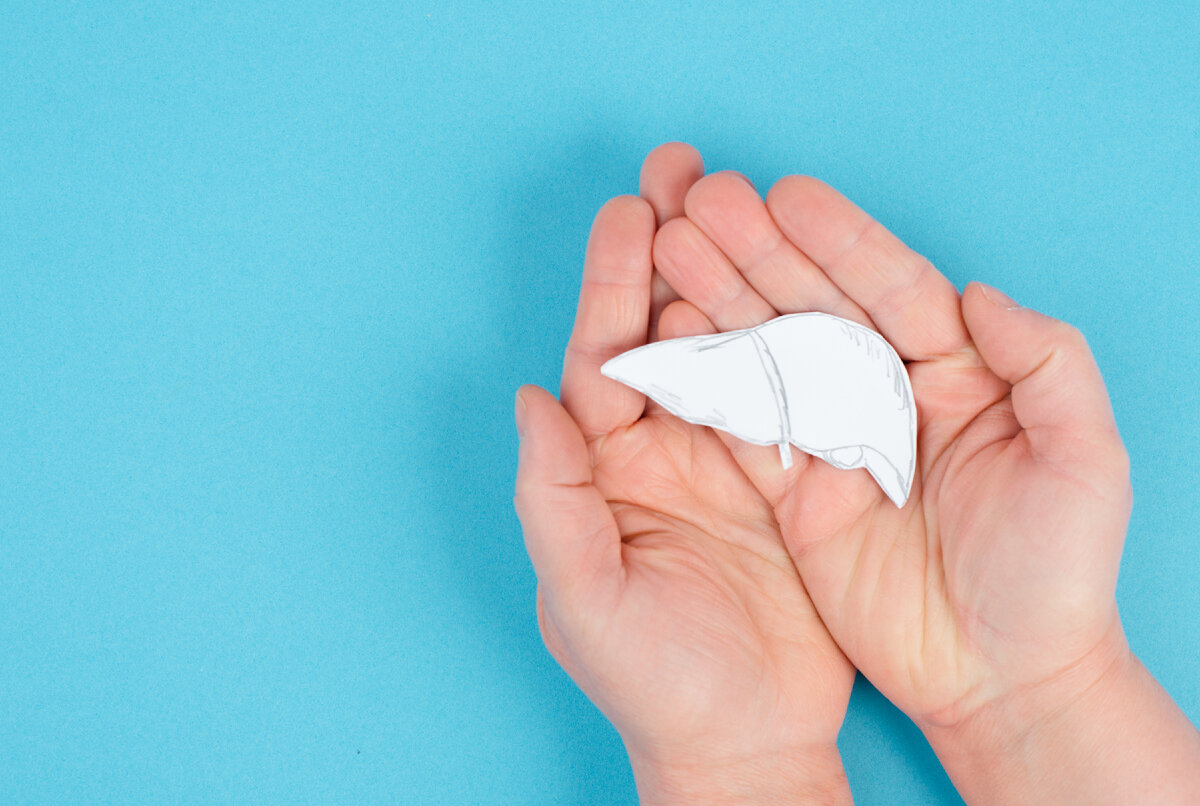 Поддержание здоровья печени