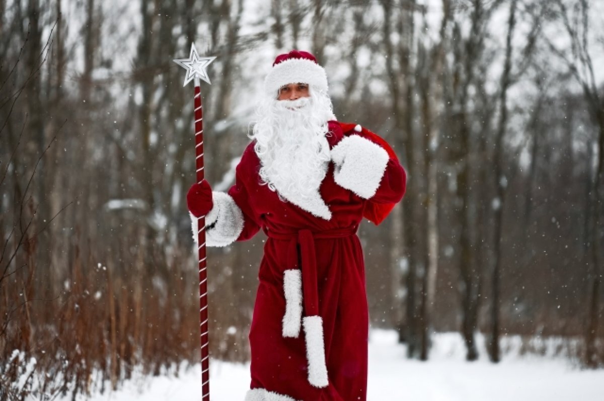    В Самаре выросли цены на визиты Деда Мороза