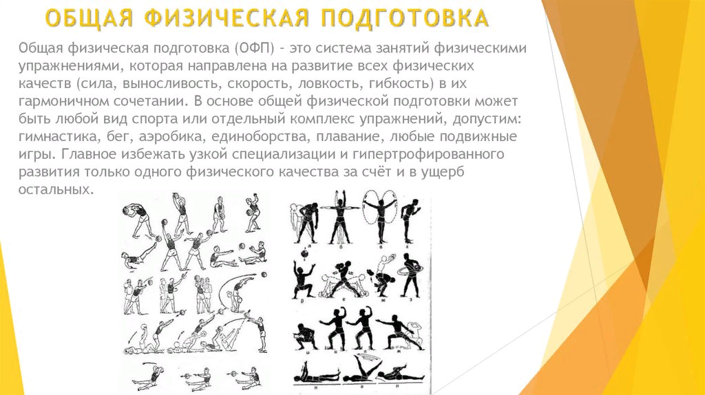 Задачи офп. Подготовка к офп. Основы физической подготовки программа. Специальная физическая подготовка сфп это. Общая физич подготовка.