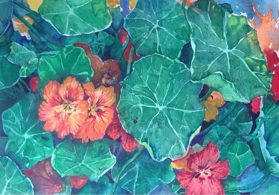 "Бабушкина защита" художник Александра Барханова 