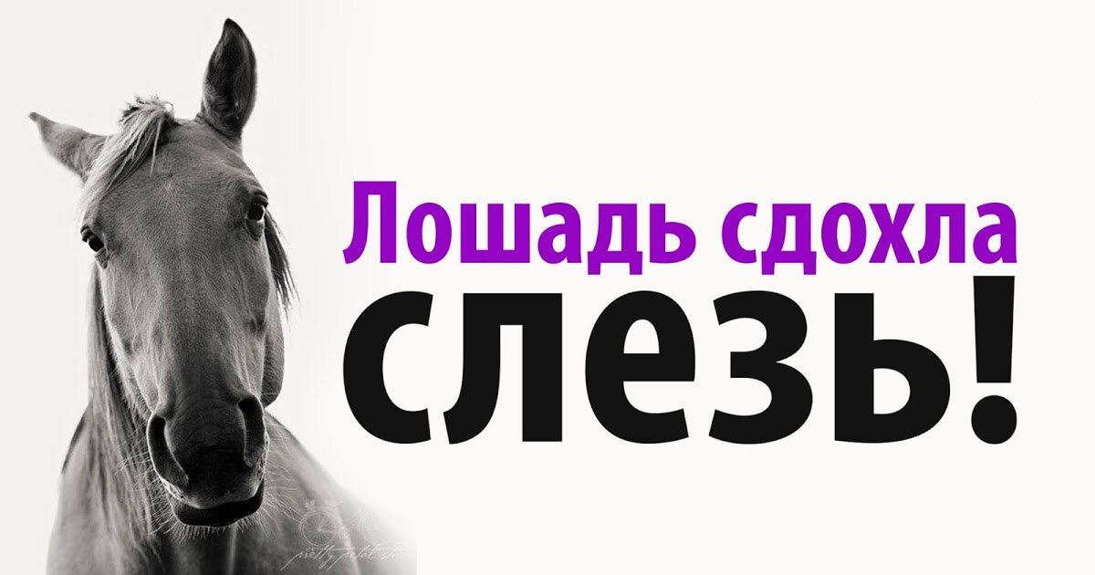 Картинка из Интернета