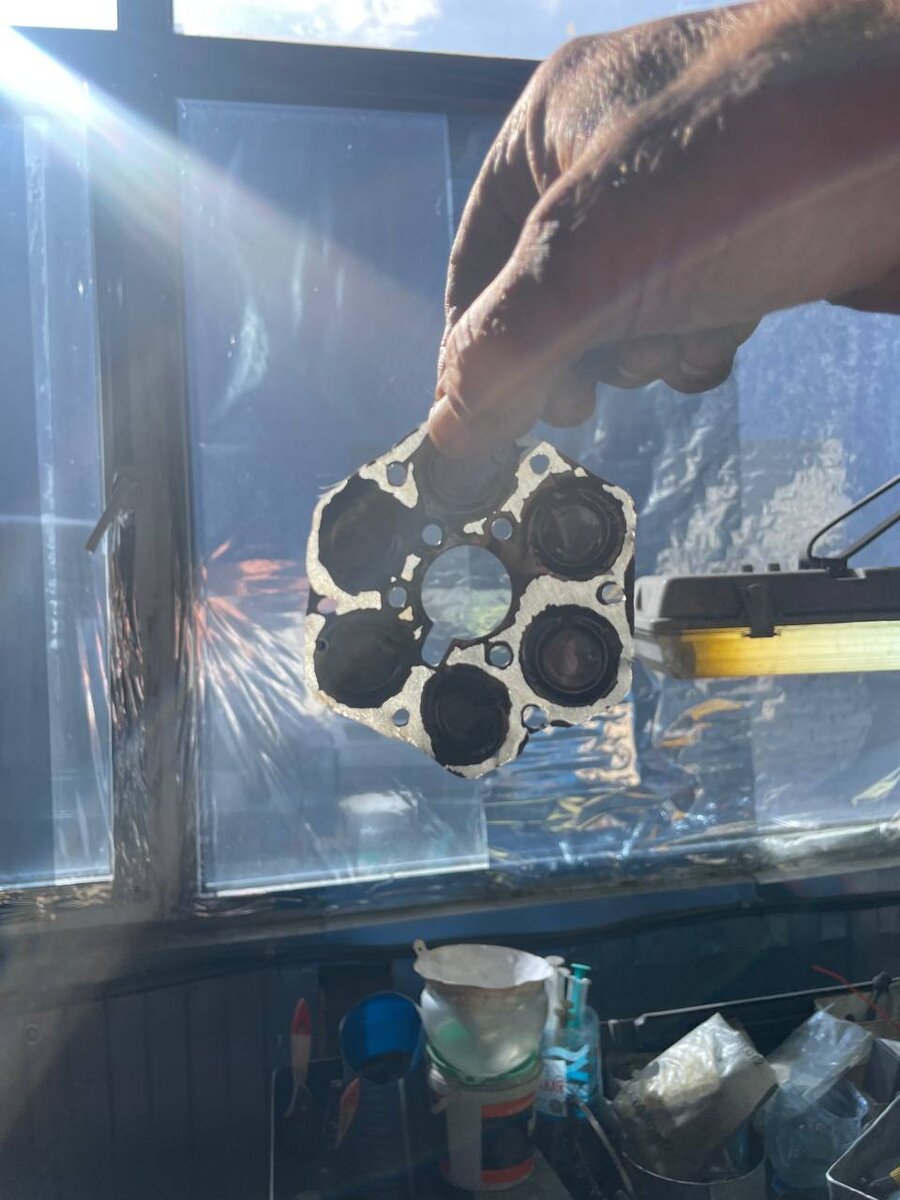 Мембрана или то что от нее осталось 