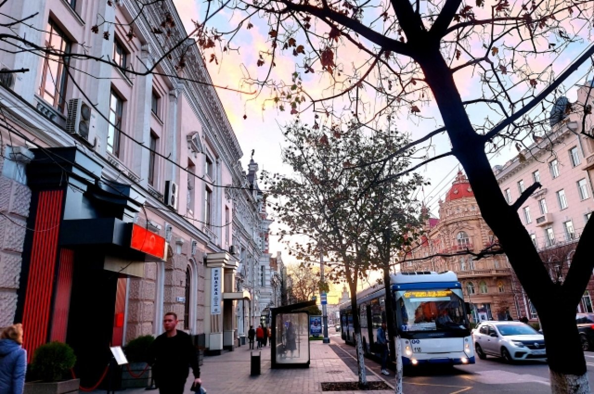   Переехавшие в Ростов высказались о недостатках города