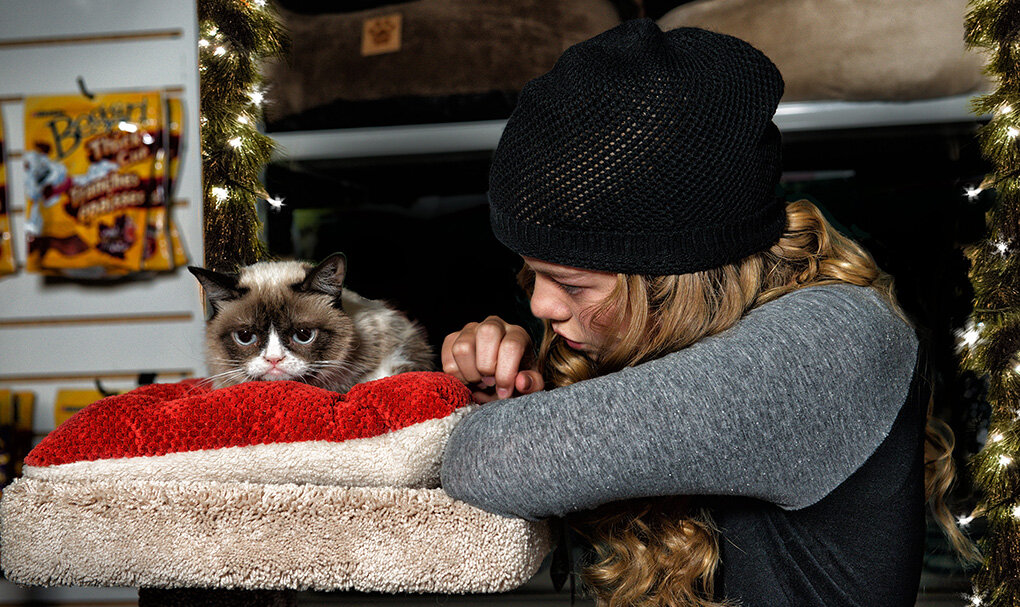 ru.wallpaper.mob.org / фото из фильма “Худшее Рождество сердитой кошки”