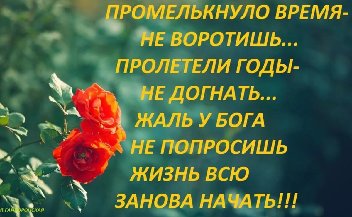 Словно птица потерявшая