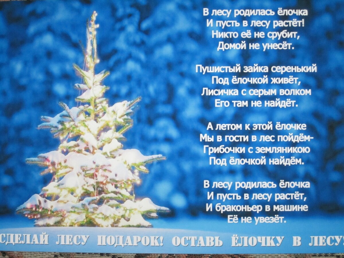 Песенка елочка новый год. В лесу родилась ёлочка. Стихи. Стих про елку. Красивый стих про елку. Новый год. Стихи.