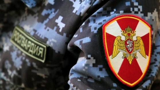    В СФ поддержали идею разрешить Росгвардии охранять школы Татьяна Сидорова