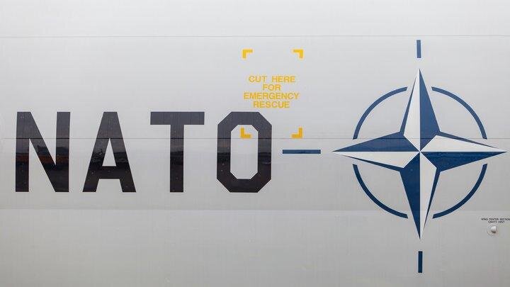 Фото: ANDREAS FRANKE/GLOBALLOOKPRESS