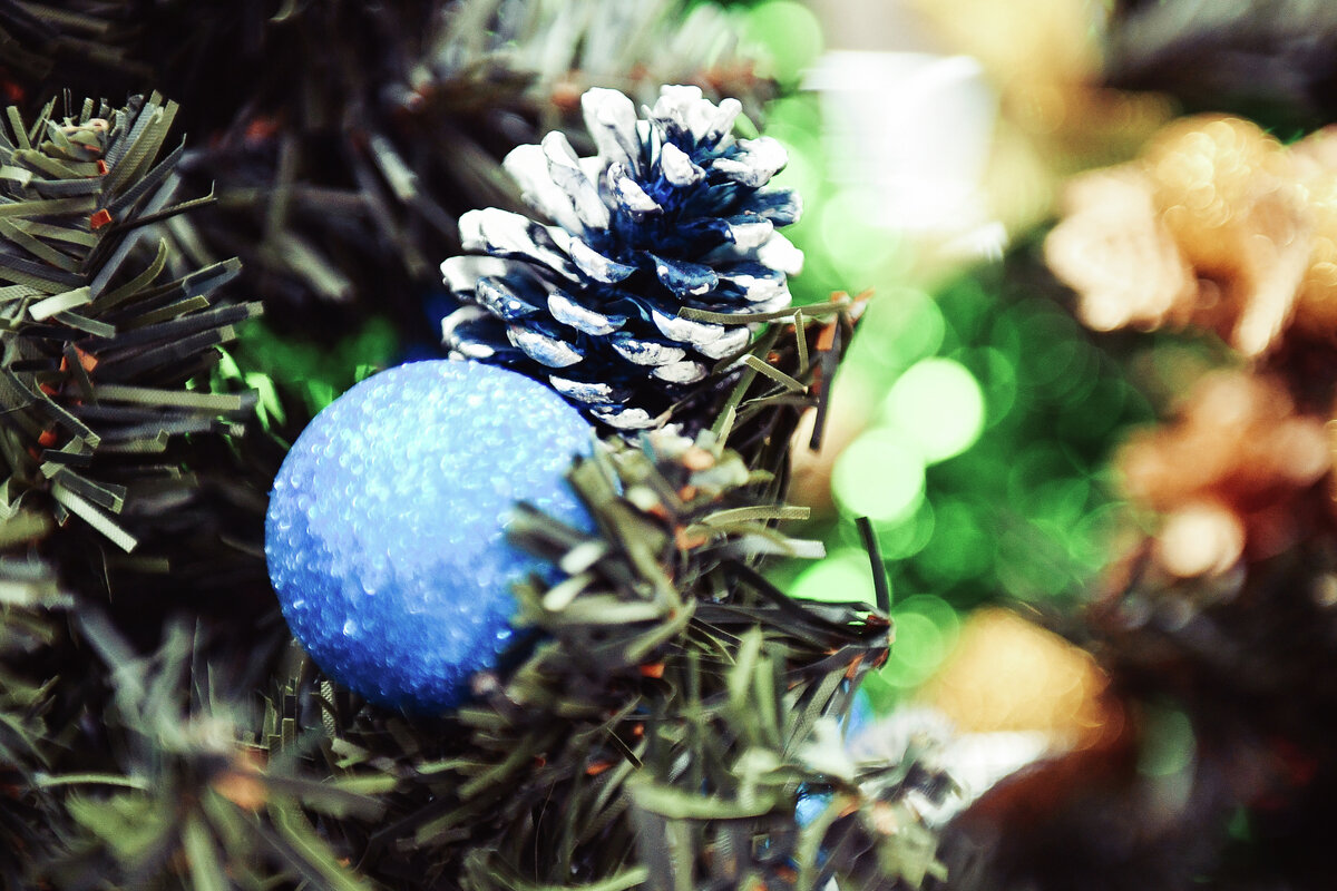 Елка // Туристический портал Республики Крым, Константин Крестьянинов