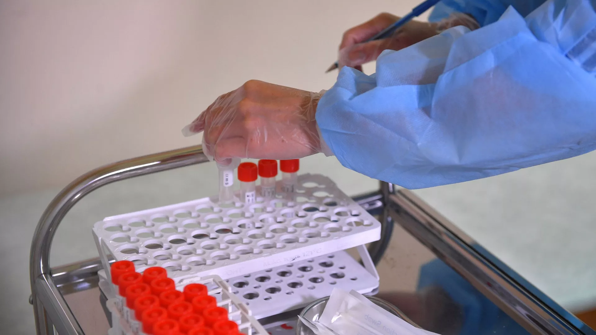 © Sputnik / Владимир Песня