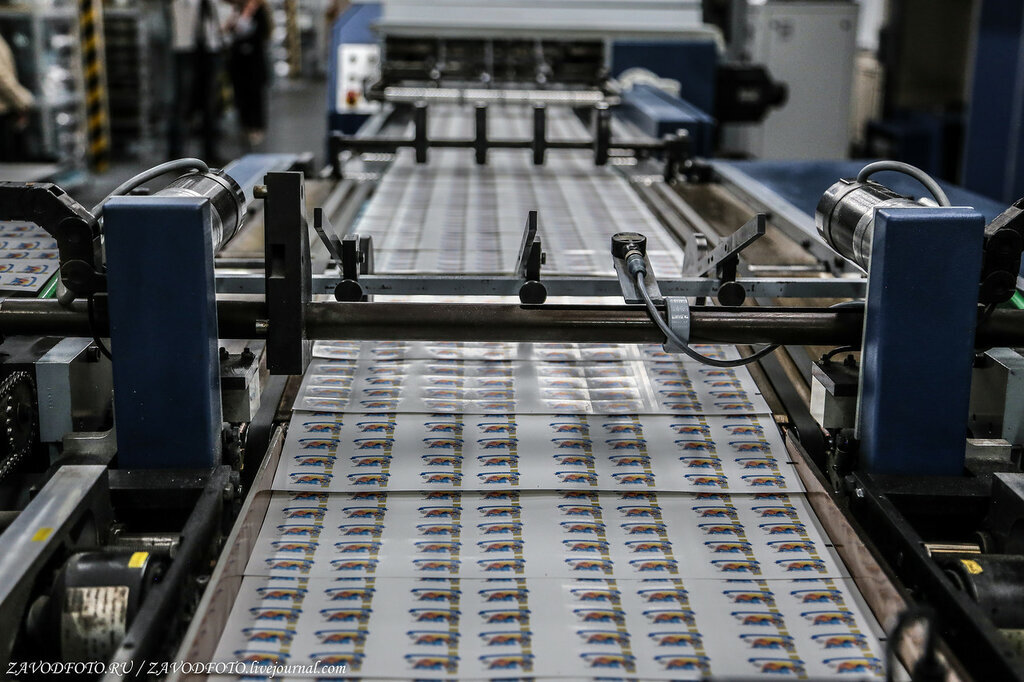 тверской печатник. ученик печатника. печатник этикеток. тверской печатник. профессия печатник плоской печати.