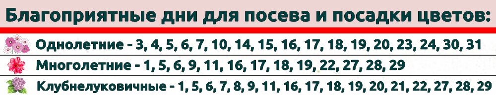 Лунный календарь огородника и садовода на декабрь 2024 года