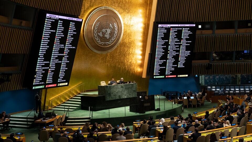 Фото: © Global Look Press/Evan Schneider/UN Photo