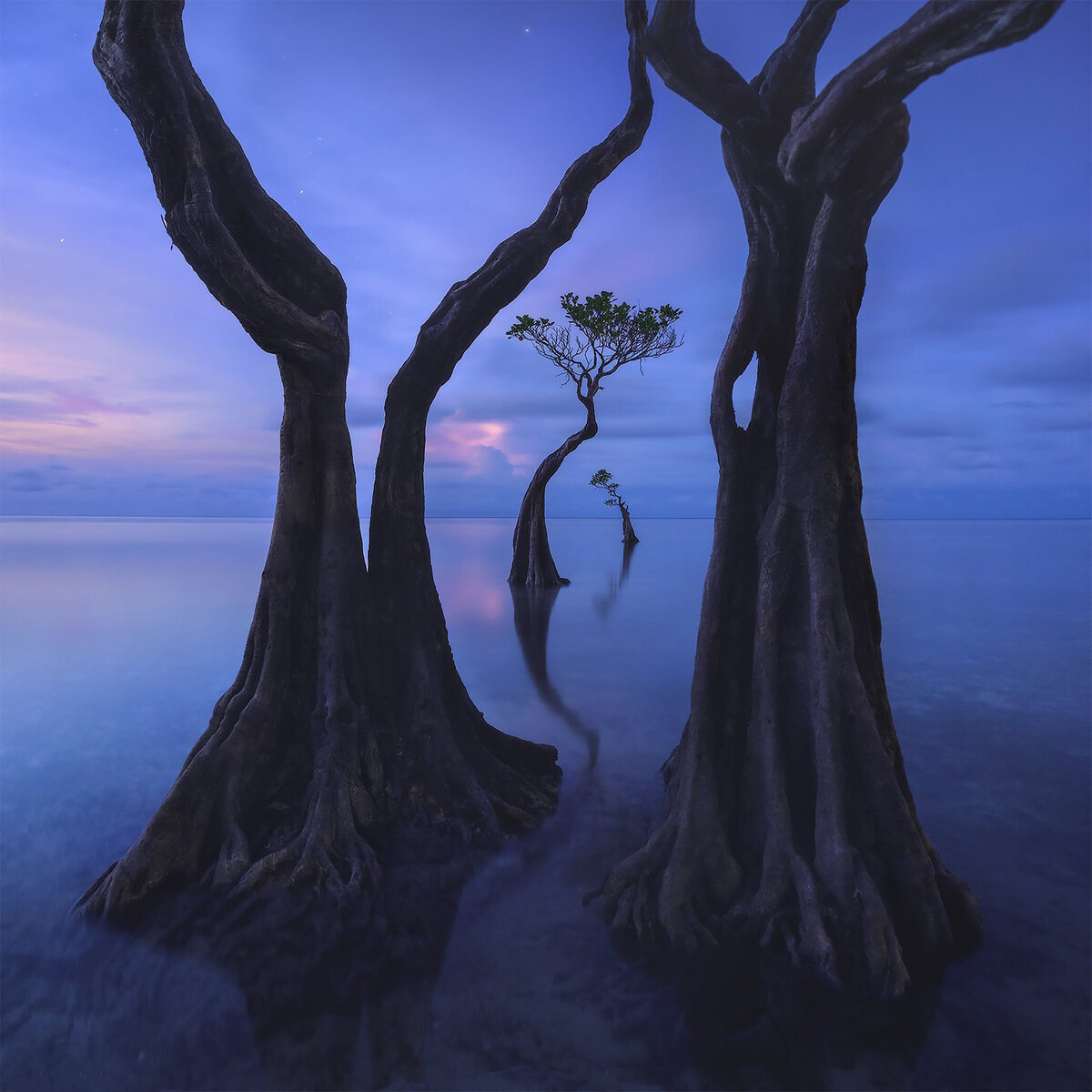 Коржонов Даниил, Walakiri dance/Танец Валакири