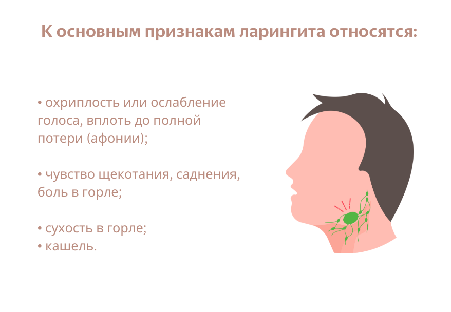 Острые заболевания гортани. Хронические заболевания гортани