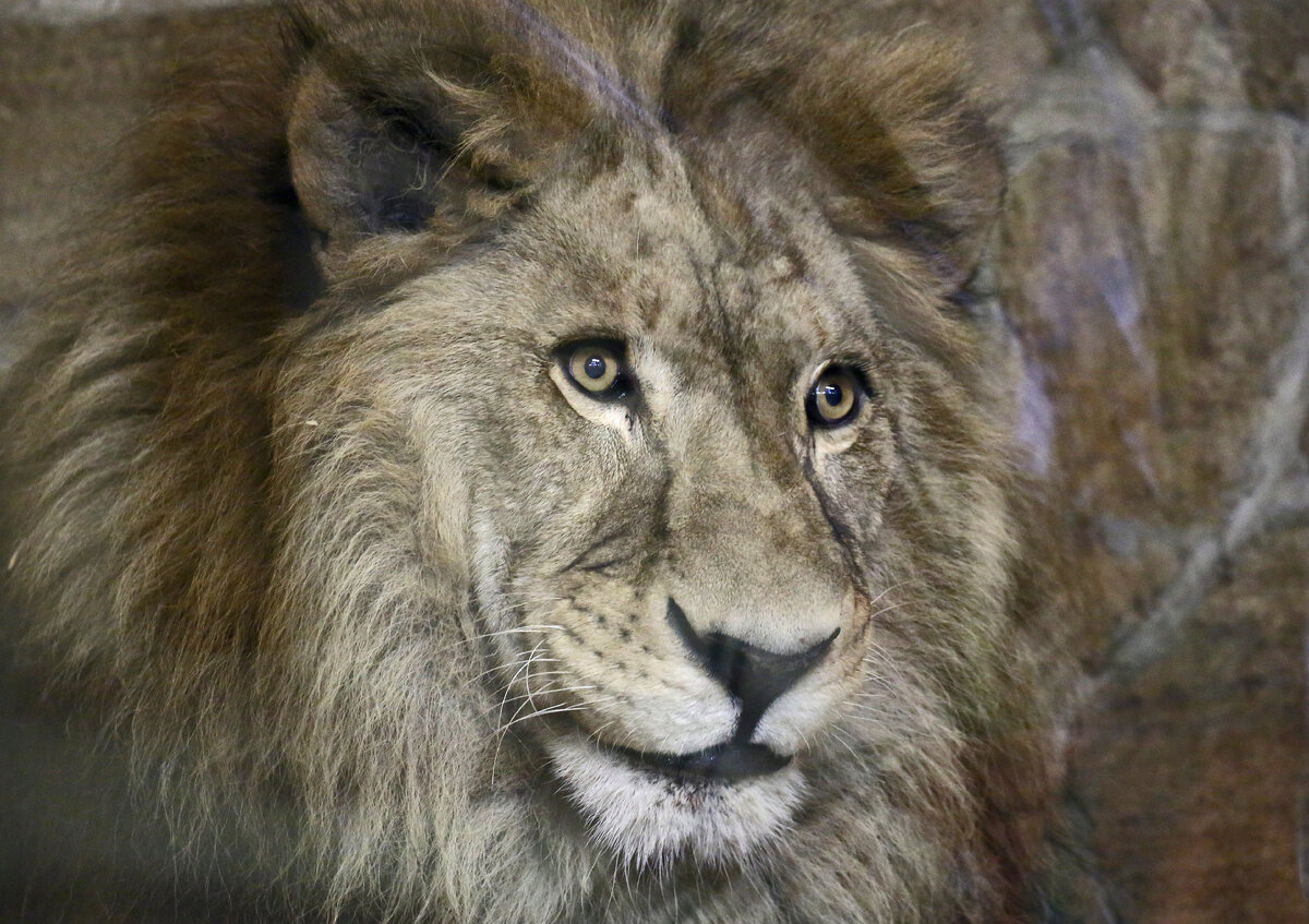 Фото: Photoagency Interpress