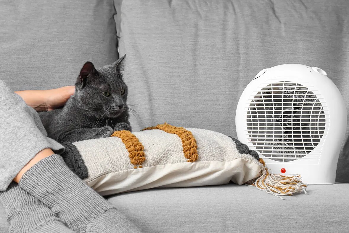 Небольшой размер тепловентилятора позволяет легко переносить его из комнаты в комнату. Источник: shutterstock.com