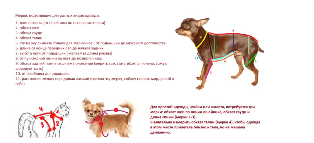 Снимаем мерки