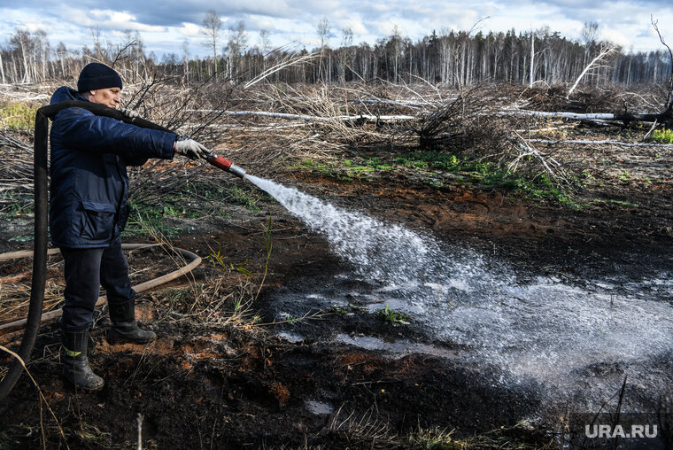    Компенсацию получат 13 регионов
