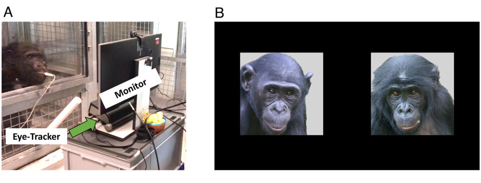  Laura S. Lewis et al. / Proceedings of the National Academy of Sciences, 2023