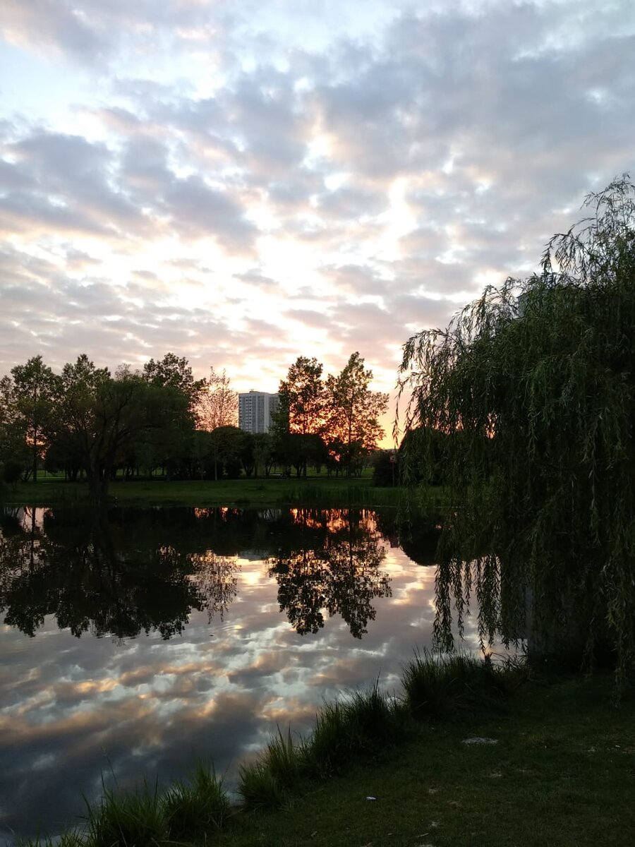 Из личного архива автора.