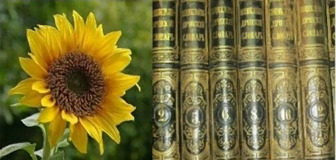 Фото из интернета. Спасибо автору