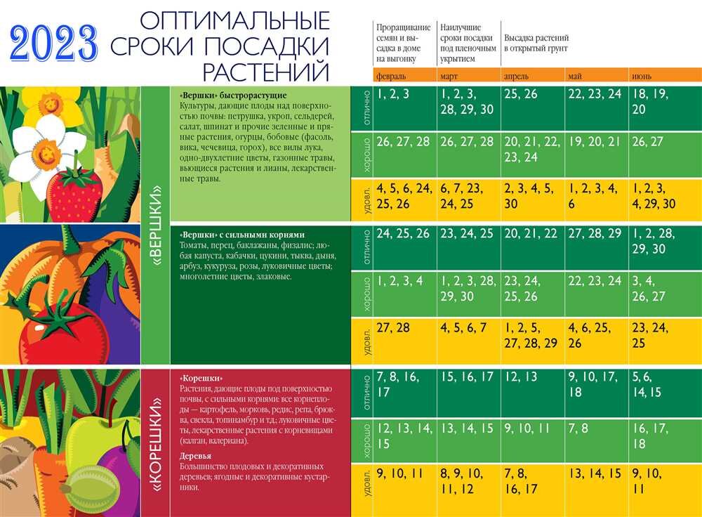 Определение наиболее подходящего времени для посева семян на рассаду