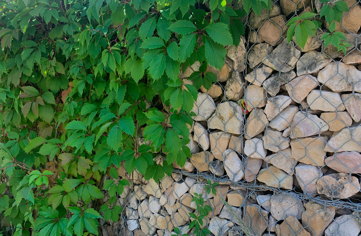 На фото работа СтройГеоСинтез