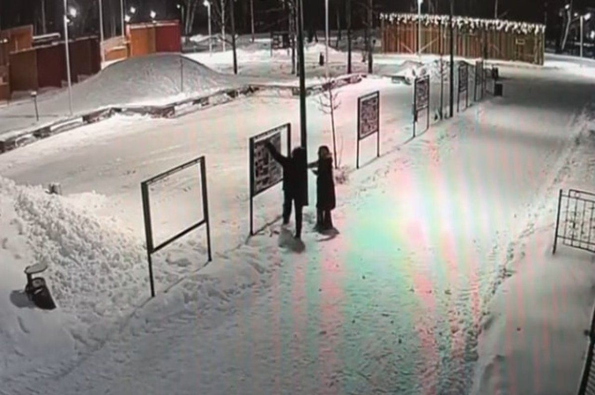    Две девочки разгромили фотовыставку ко Дню города в Арзамасе