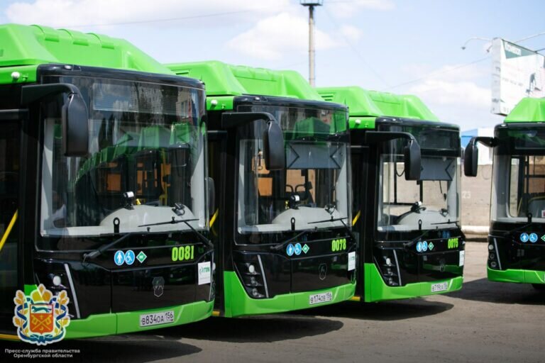    В Оренбурге увеличат количество автобусов на маршруте № 66Н Кристина Просвиркина