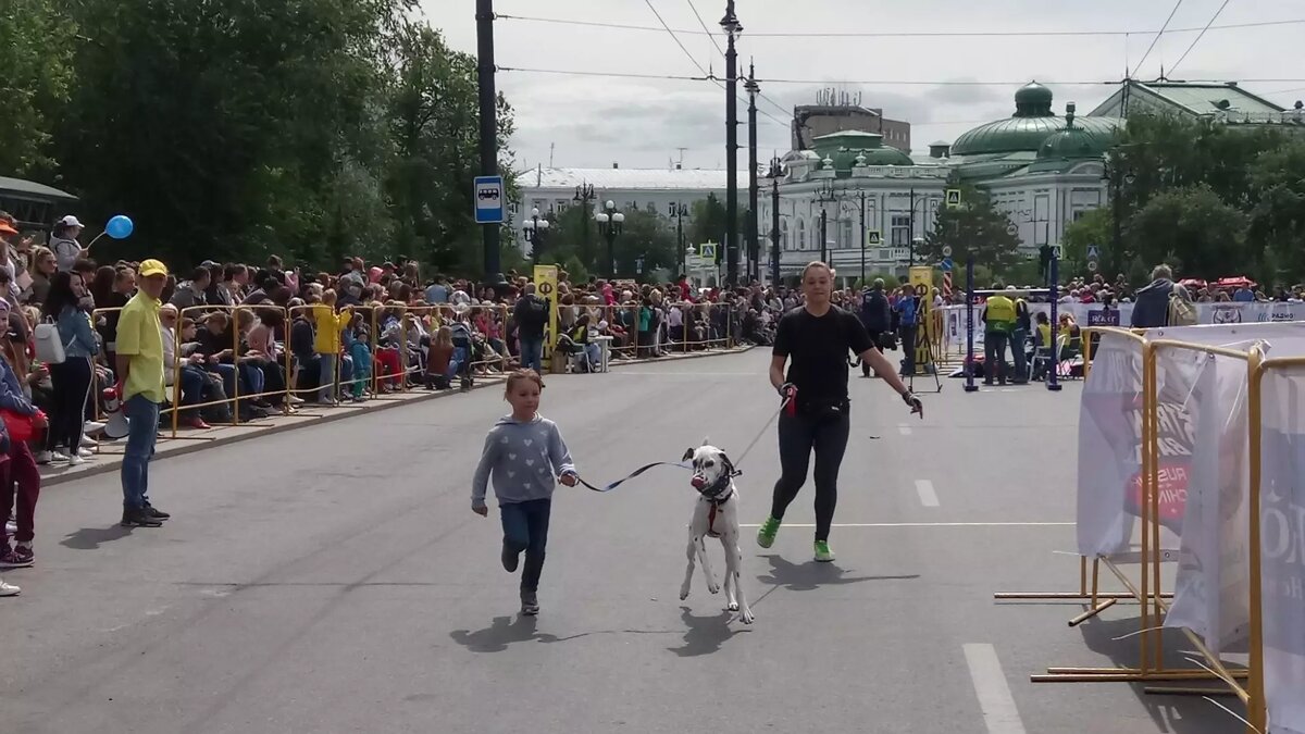     Исследование японских ученых показало, что люди владеющие собаками на порядок реже страдают деменцией, чем кошатники.