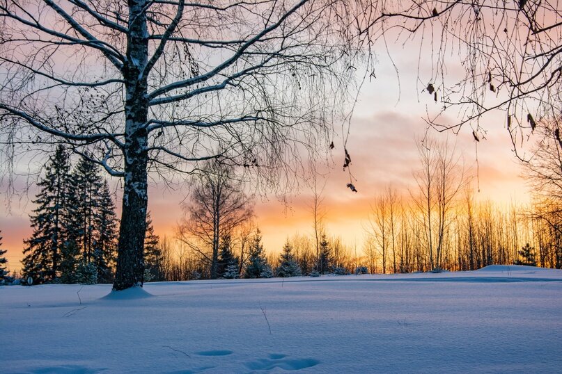 зима вовсю вступила в свои права