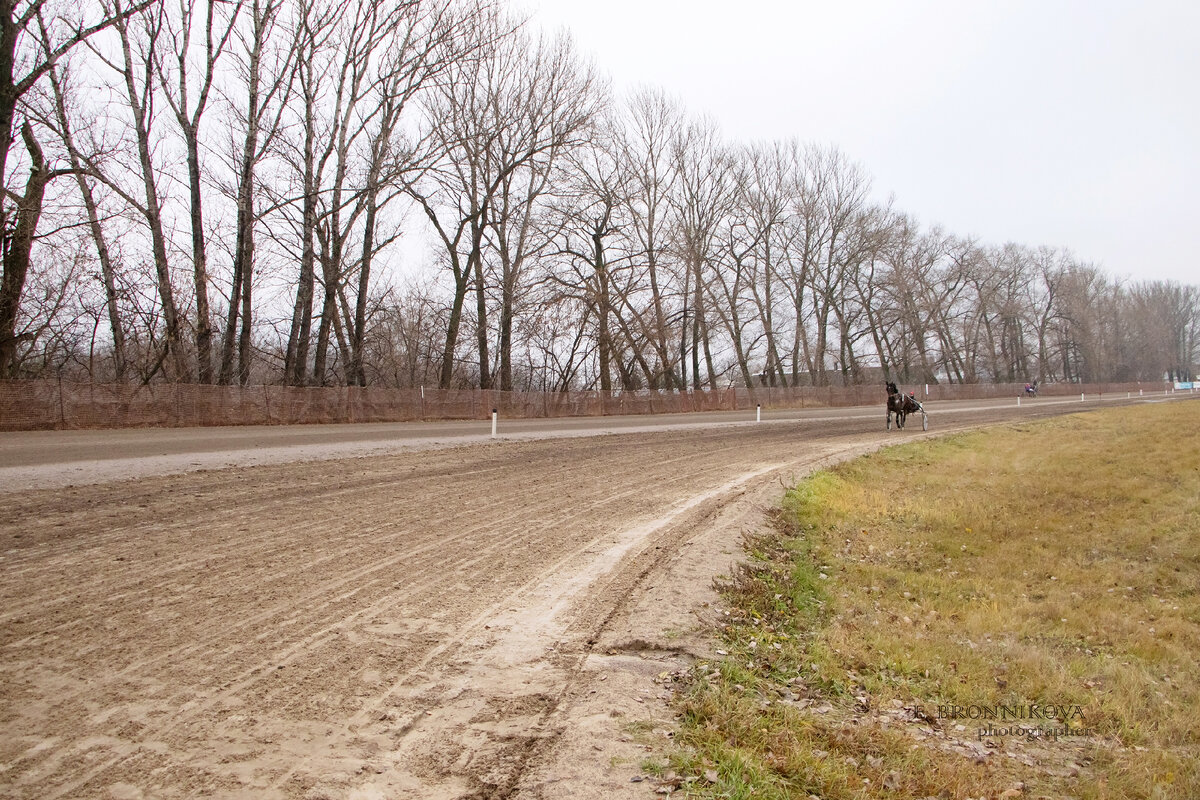 Фото: Е. Бронникова/«РР».