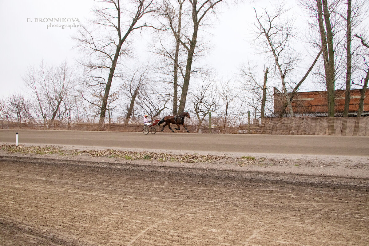 Фото: Е. Бронникова/«РР».