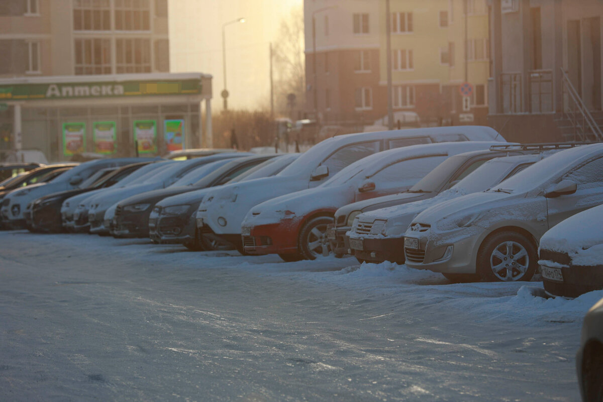 Свердловчане чаще покупают японские автомобили.  Фото: ФедералПресс / Иван Кабанов