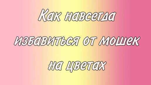 Как навсегда избавиться от мошек на цветах