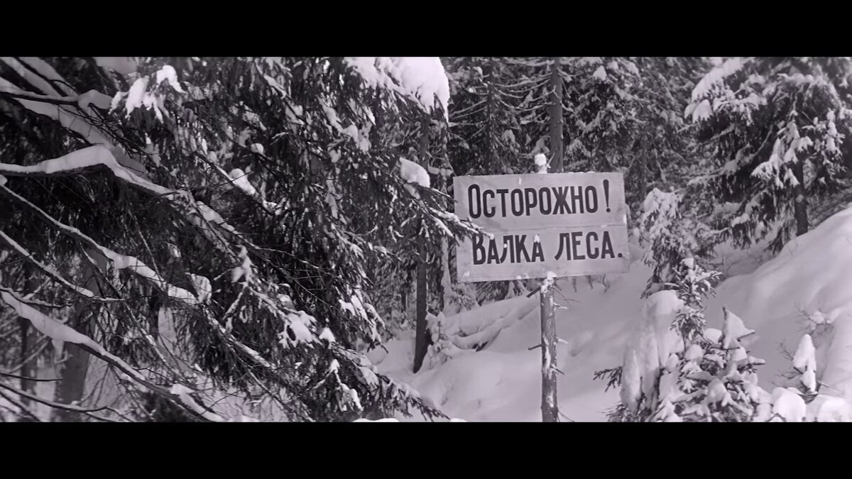 Предупредительная надпись из фильма «Девчата»