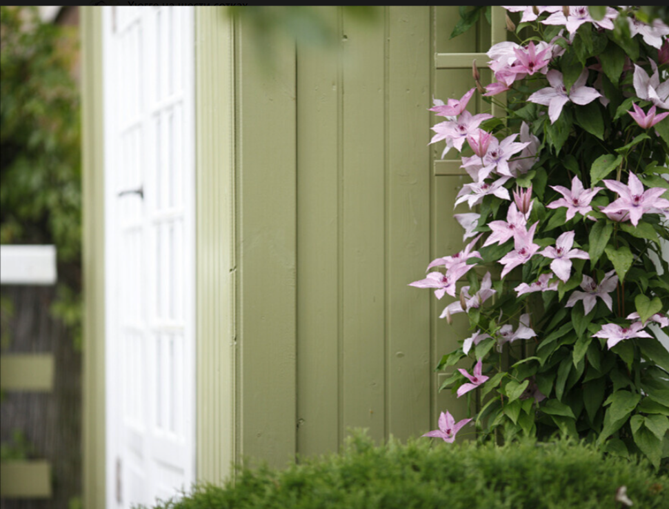 фото Ирины с канала Хюгге на шести сотках - цвет зеленый