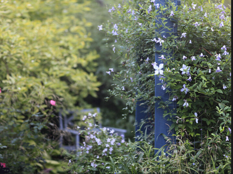 фото Ирины с канала Хюгге на шести сотках - цвет синий