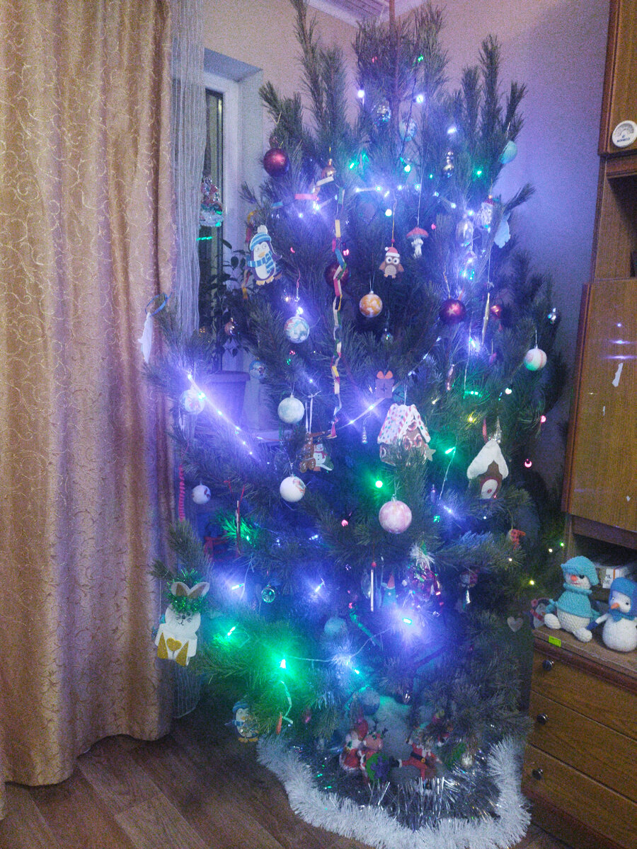 Наша елка, которая сосна. Декабрь 2023 года