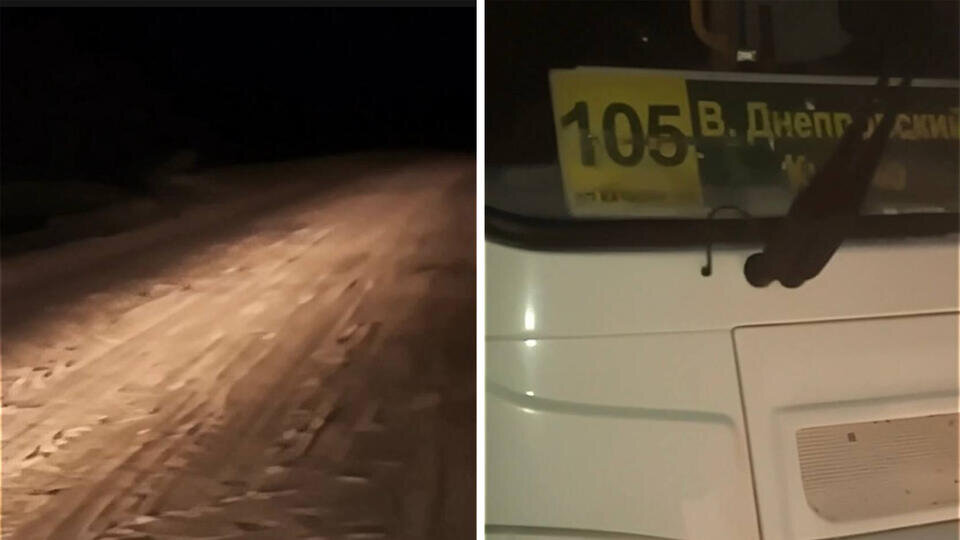 Под Смоленском водитель автобуса высадил посреди ночного леса мать с