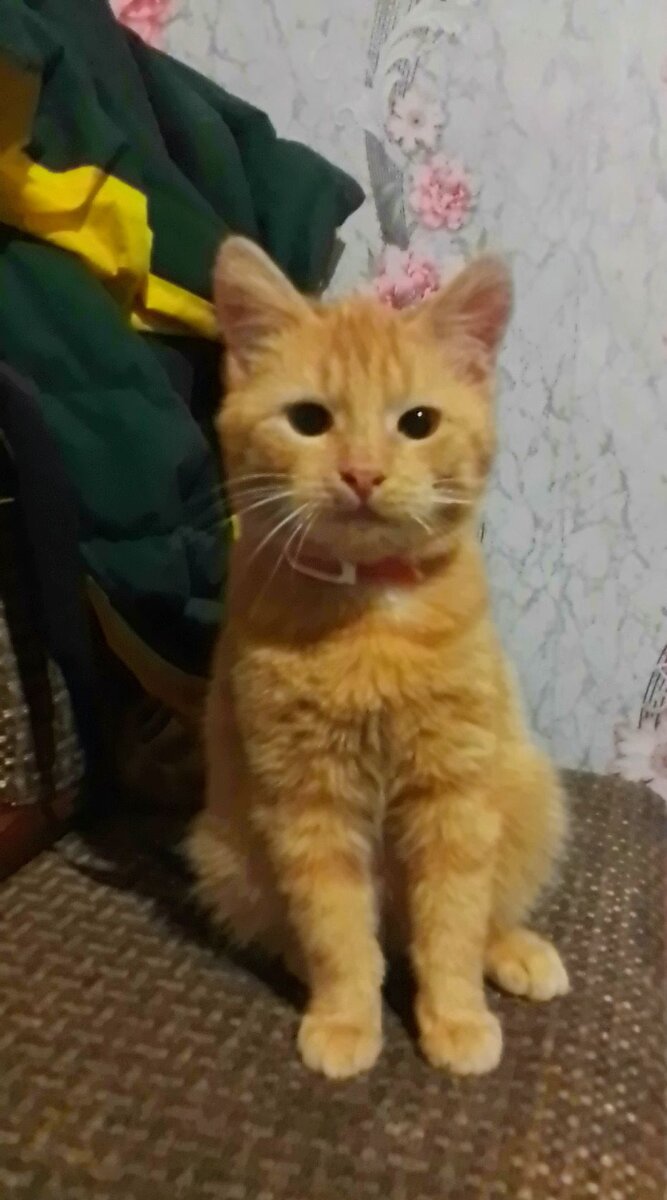 Мой красавчик 💖