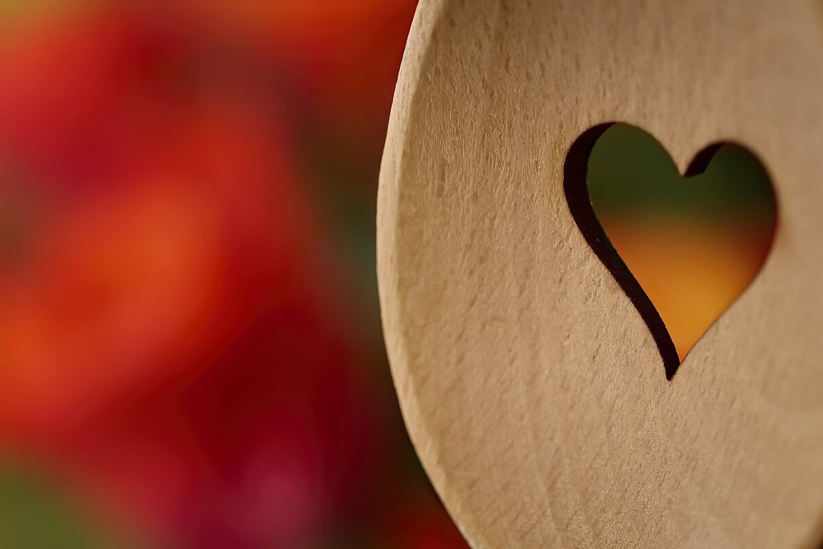 отзывы на магов vedma.info