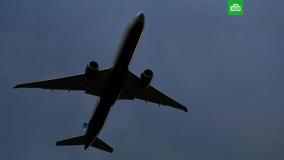    Фото: РИА Новости © 2023, Максим Блинов