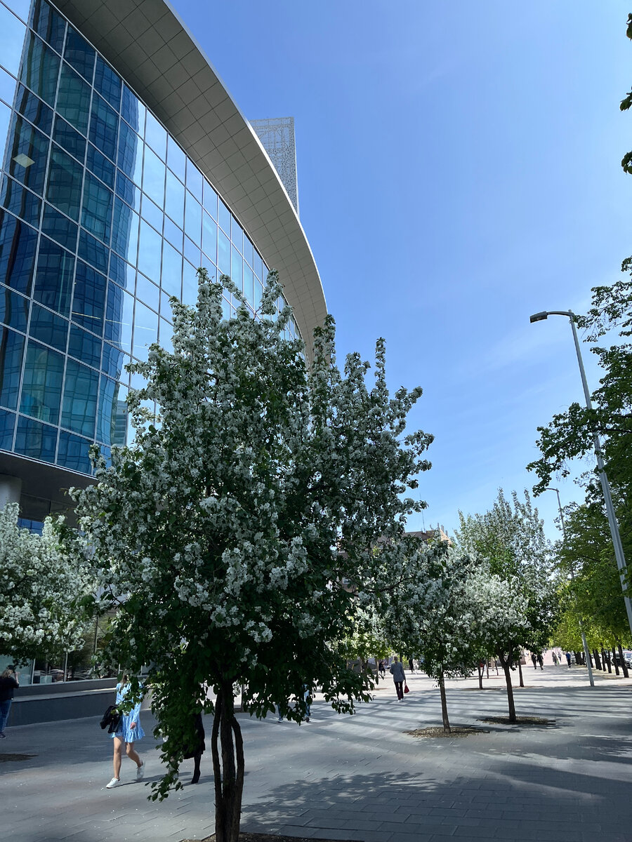 100 городских лидеров. Велоинфраструктура варламов. Российские жители в будни фото. Велополосы кёльн. Включи городские.