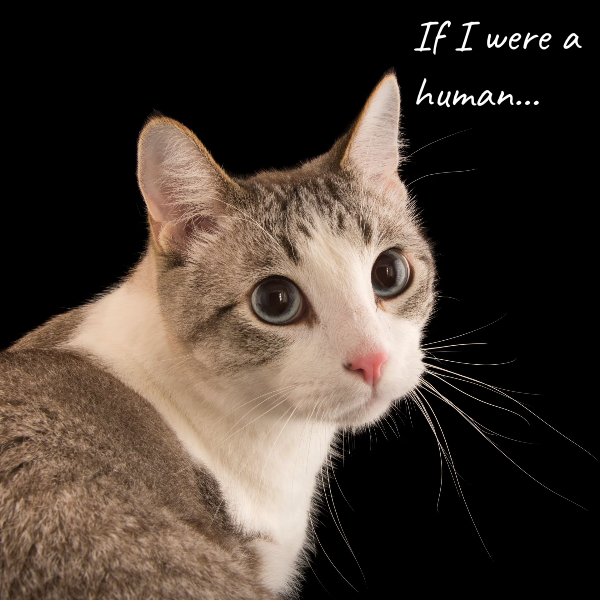 В 2nd Conditional мы можем использовать were вместо was