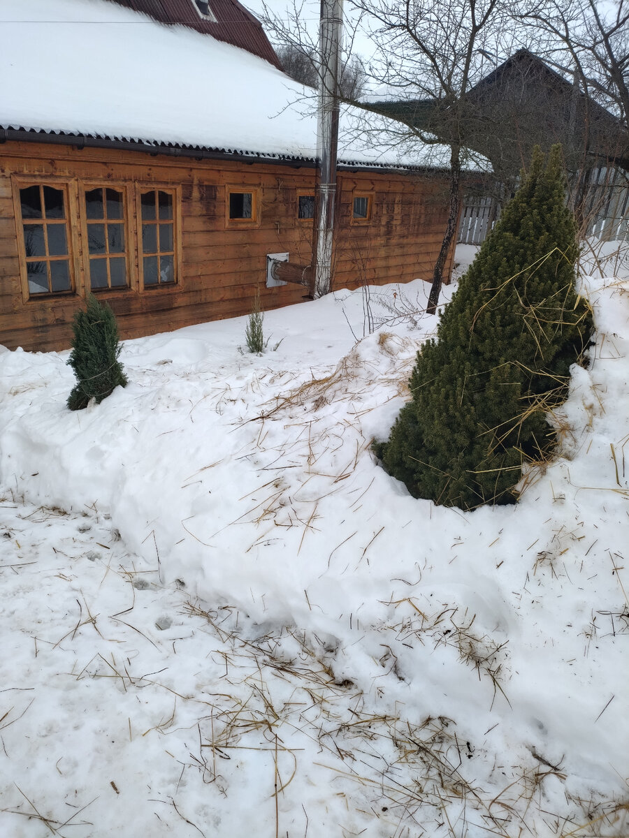 А ёлка была засыпана вся